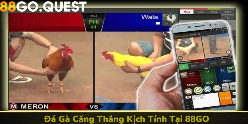 Sảnh đá gà căng thẳng và kịch tính tại nhà cái 88GO